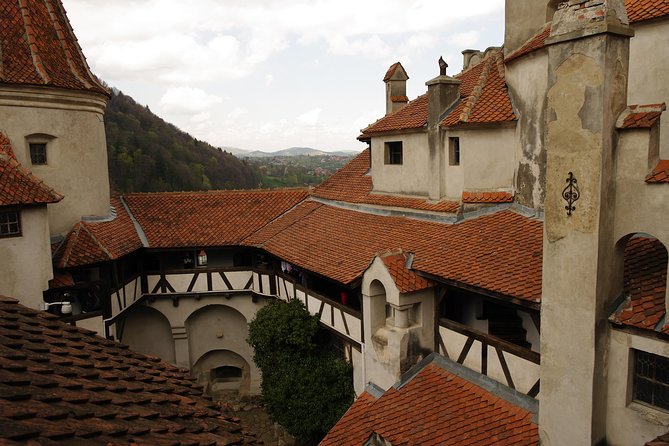Transylvania with Dracula Castle, Bear Sanctuary and Brasov - Who should book this tour?