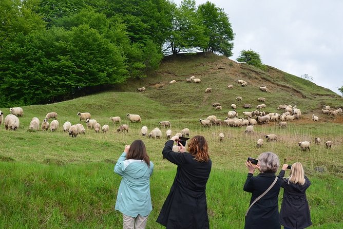 Transylvanian week - Day 4: Viscri, Prejmer, and Brasov’s medieval center