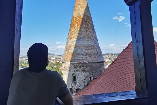 Turda Salt Mine, Corvin Castle and Alba Fortress from Cluj - Price, meals, and the real value
