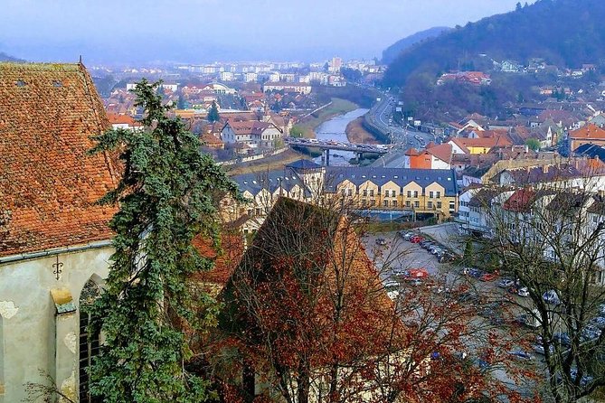 UNESCO Guided Day Tour From Brasov: Sighisoara, Rupea and Viscri - Viscri: a village where the old rhythm still shows