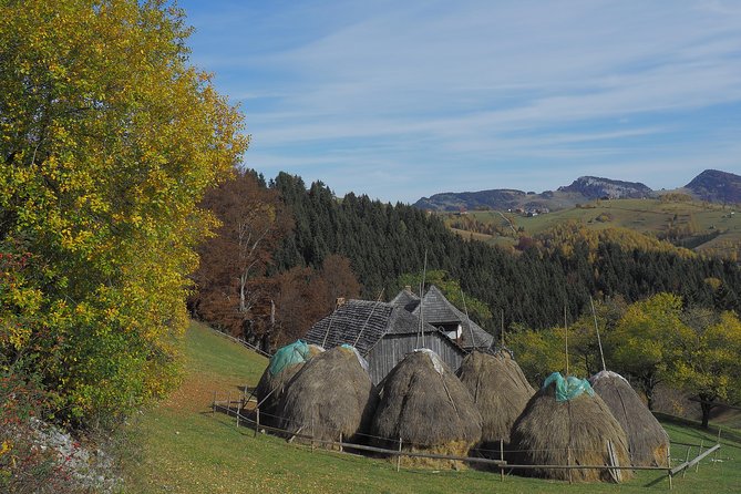 Village life in Transylvanian Carpathian mountains - 8 days - Day 4: Five villages between two national parks
