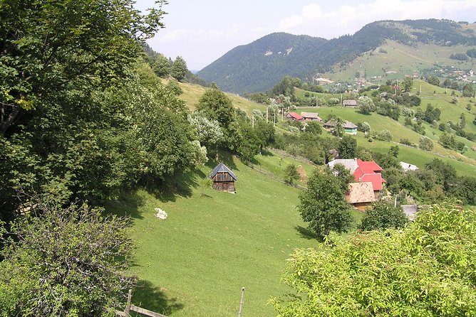 Village life in Transylvanian Carpathian mountains - 8 days - Day 2: Bran Castle and the first walk to Magura