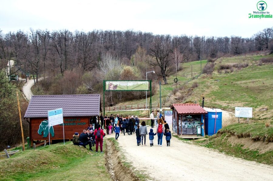 Visit Bear Sanctuary and Bran Castle from Brasov - Five things to know before you go