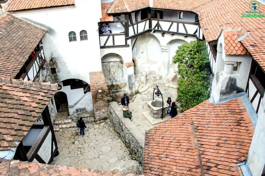 Visit Bear Sanctuary and Bran Castle from Brasov - Why this half-day tour works well from Brasov