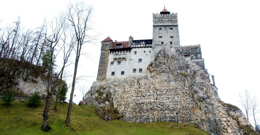 Visit Bear Sanctuary and Bran Castle from Brasov - LiBEARty Sanctuary, where the tour finds its heart