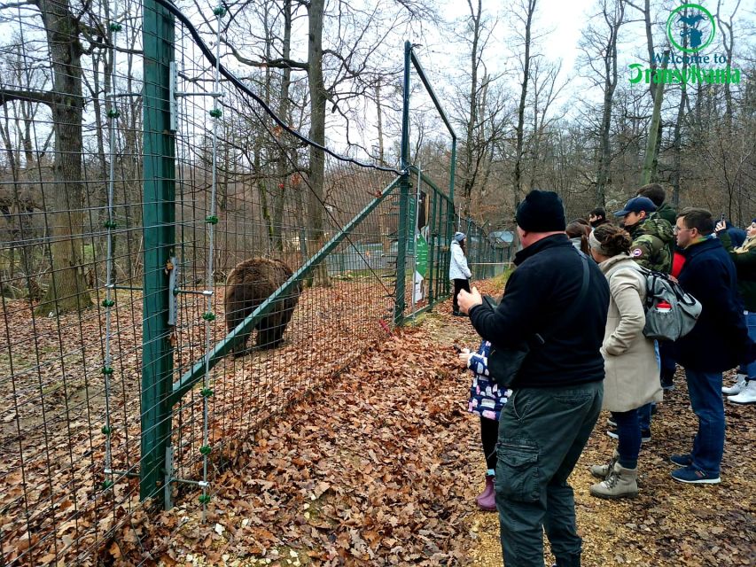 Visit Bear Sanctuary and Bran Castle from Brasov - The guide can make or break the morning