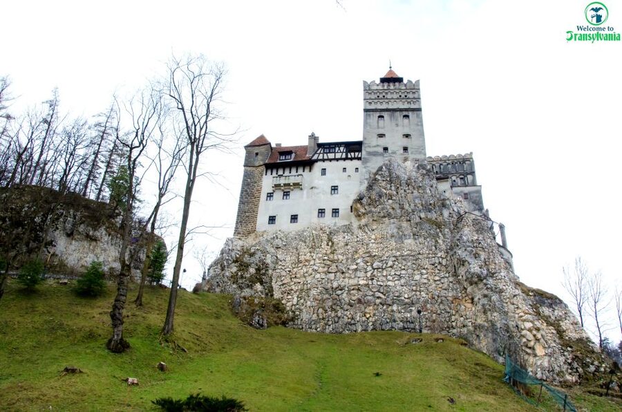 Visit Bear Sanctuary and Bran Castle from Brasov - The best way to plan your morning