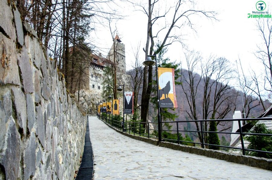 Visit Bear Sanctuary and Bran Castle from Brasov - Should you book the Bear Sanctuary and Bran Castle tour?