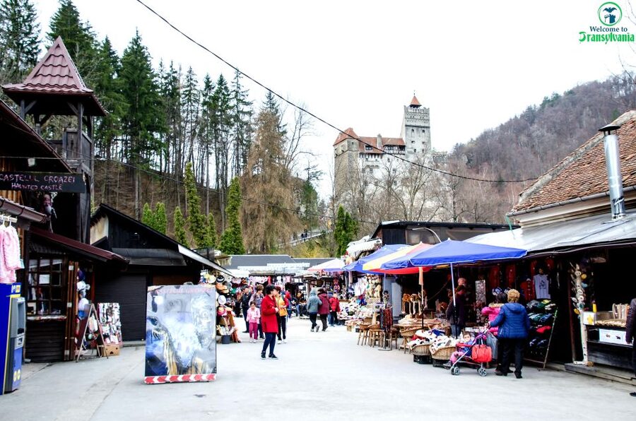 Visit Bear Sanctuary and Bran Castle from Brasov - The drive from Brasov to Zarnesti