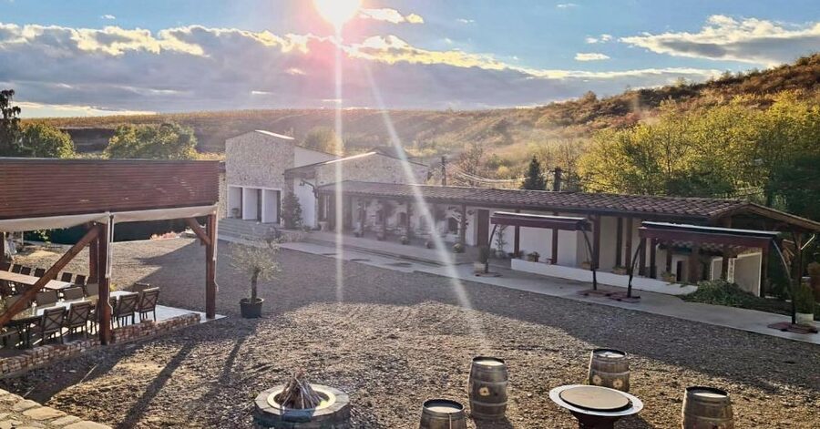 Winery touring & private wine tasting - one day private tour - The old wine museum and a look at traditional methods